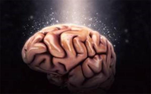 ترک این 5 عادت فکر را قوی می نماید ترک این 5 عادت فکر را قوی می نماید